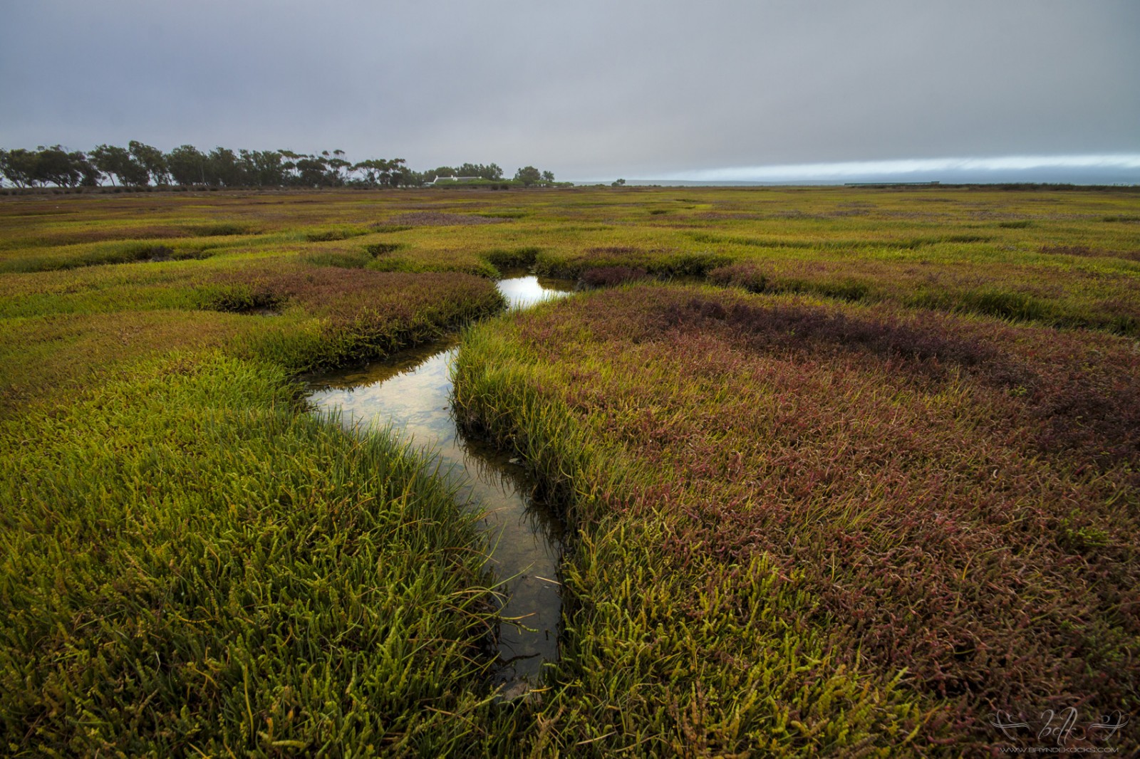 landscape-wcnp