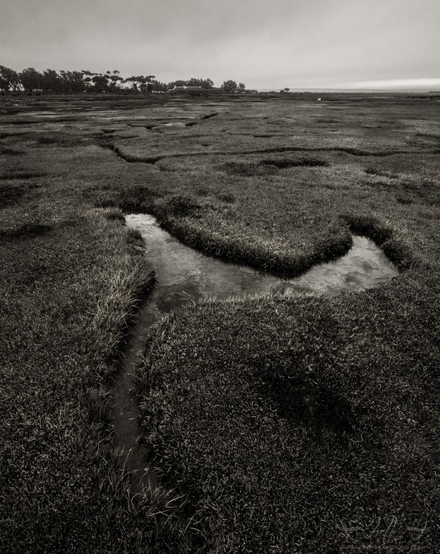 west-coast-national-park-bnw
