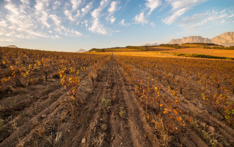 waterkloof-estate