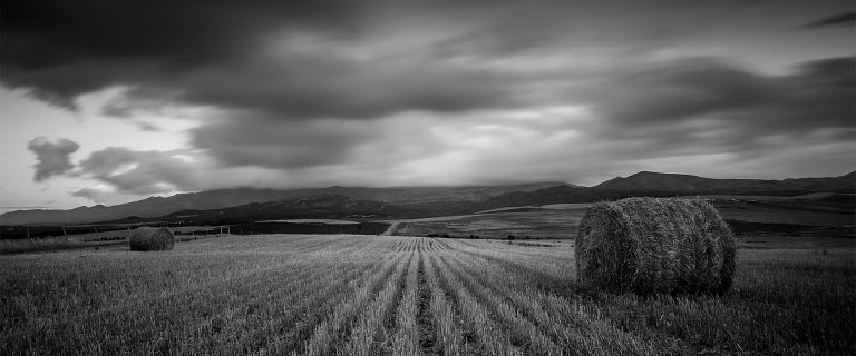 The Beauty of Botrivier