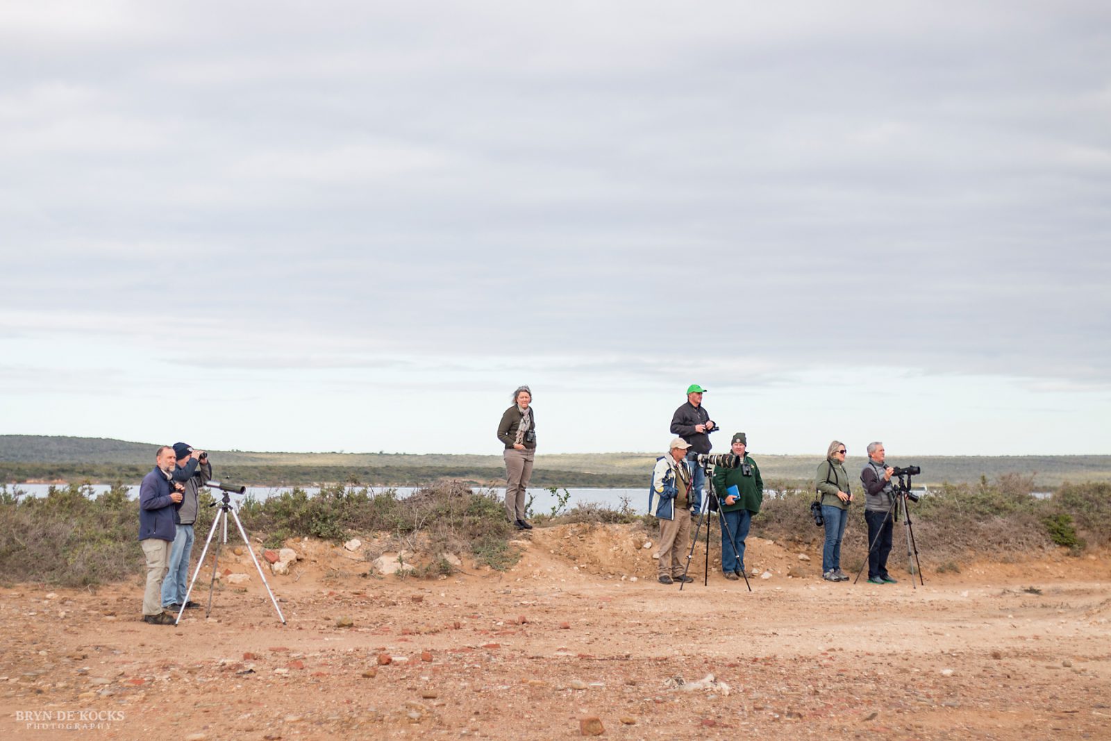 Group of birders later in the morning, watching the Warbler.